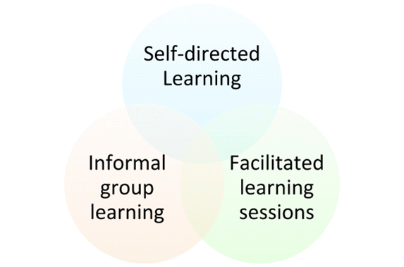 A diagram of learning types. Showing three overlapping circles where each circle is a type of learning. Top circle - self-directed learning. Left circle - informal group learning. Right circle - facilitated learning sessions.